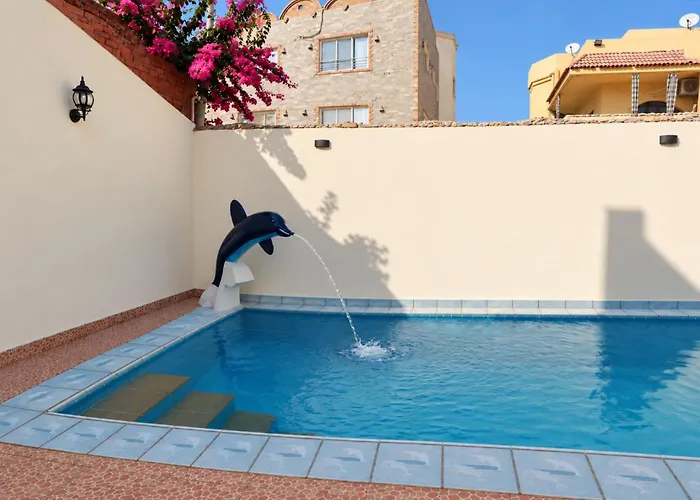 Dolphin * Hurghada